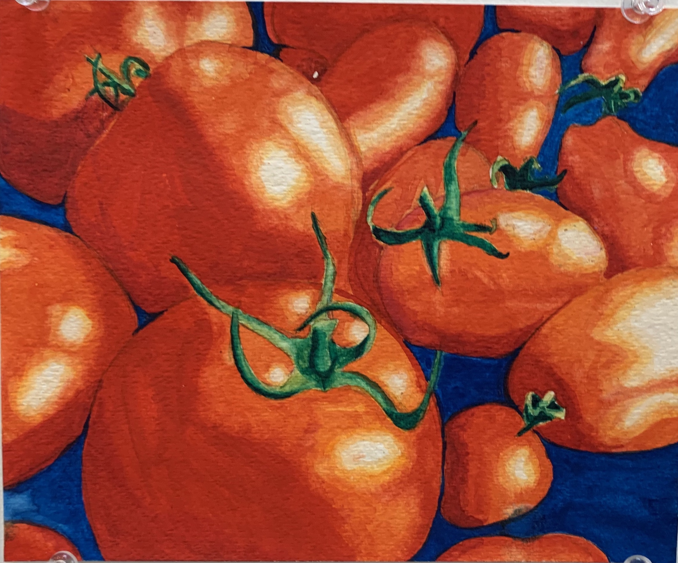 tomato watercolor